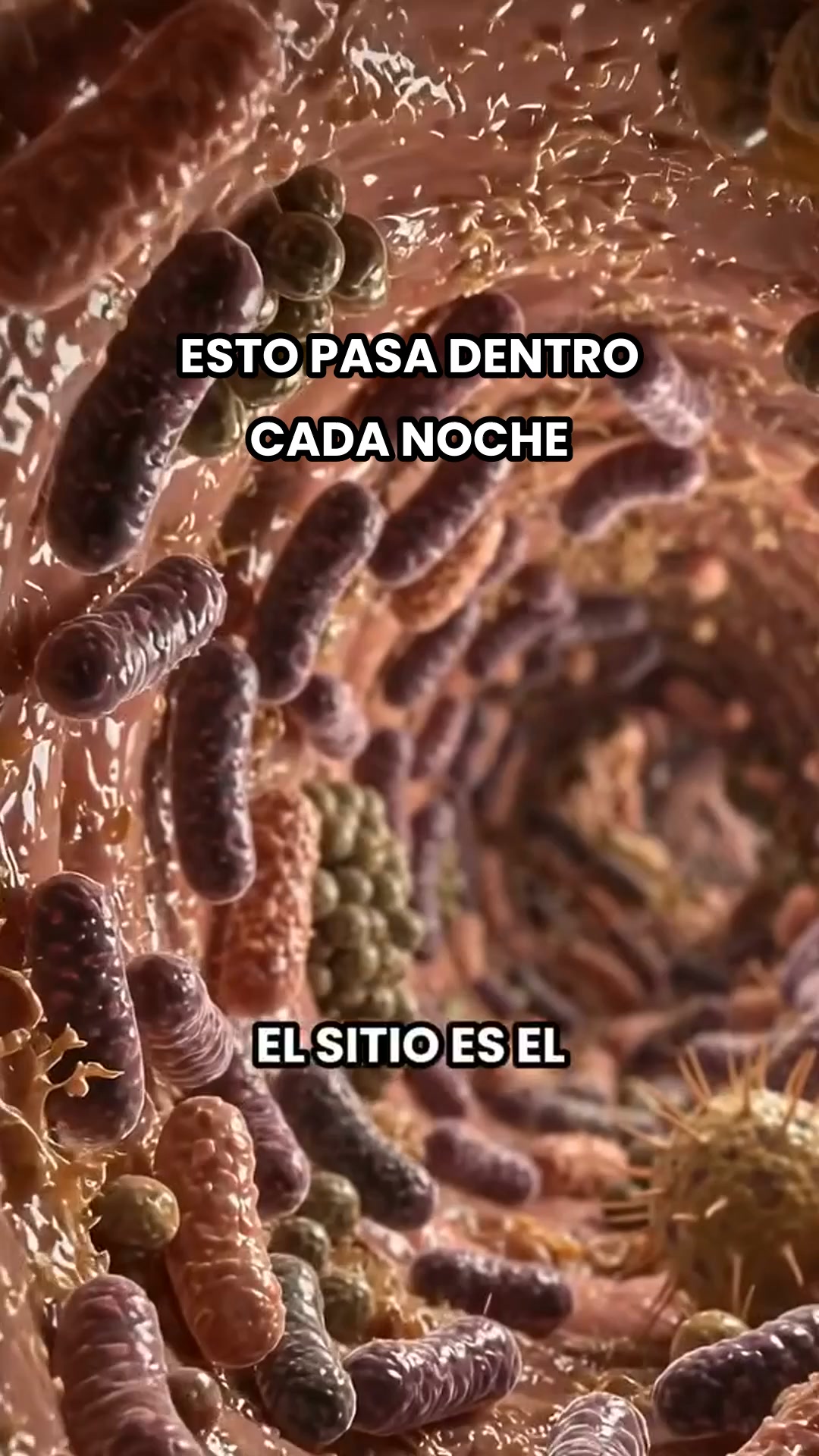 Apoya la digestión de tu perro
