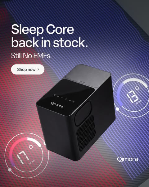 Qimora Is Back