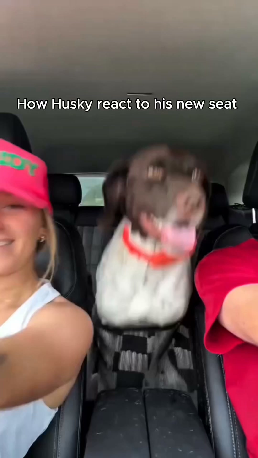 Pawlow Hard Bottom Seat Cover