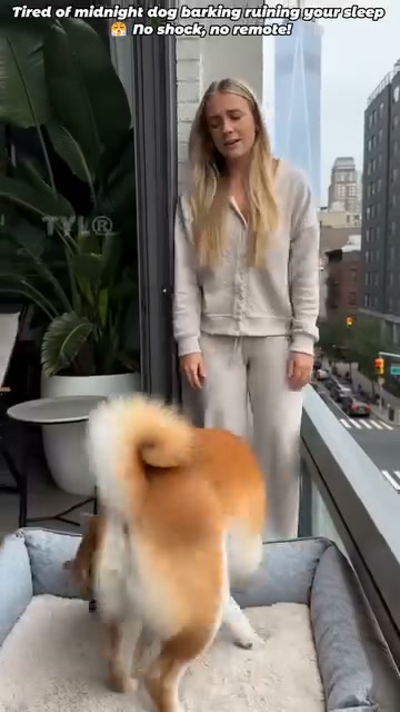 Smart Anti-Bark Collar for Dogs