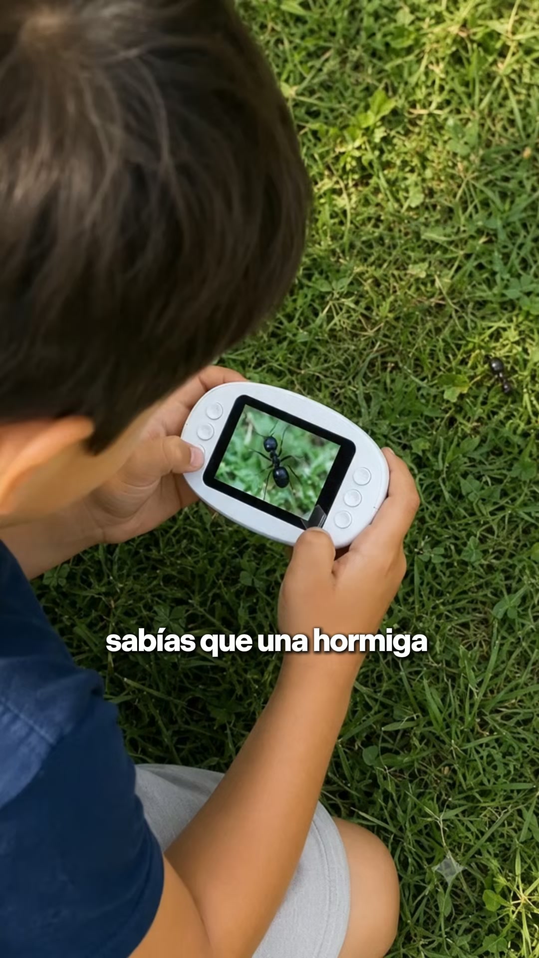 ¡Descubre un mundo invisible a simple vista!