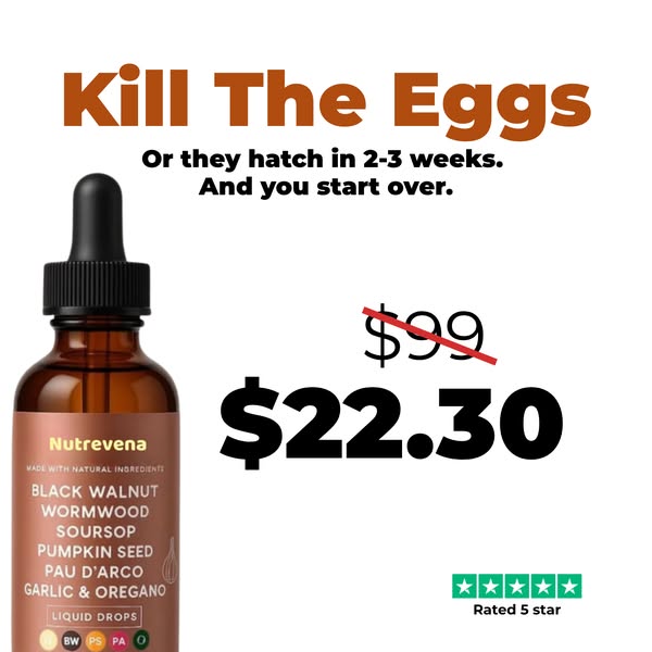 Everything you need, one formula