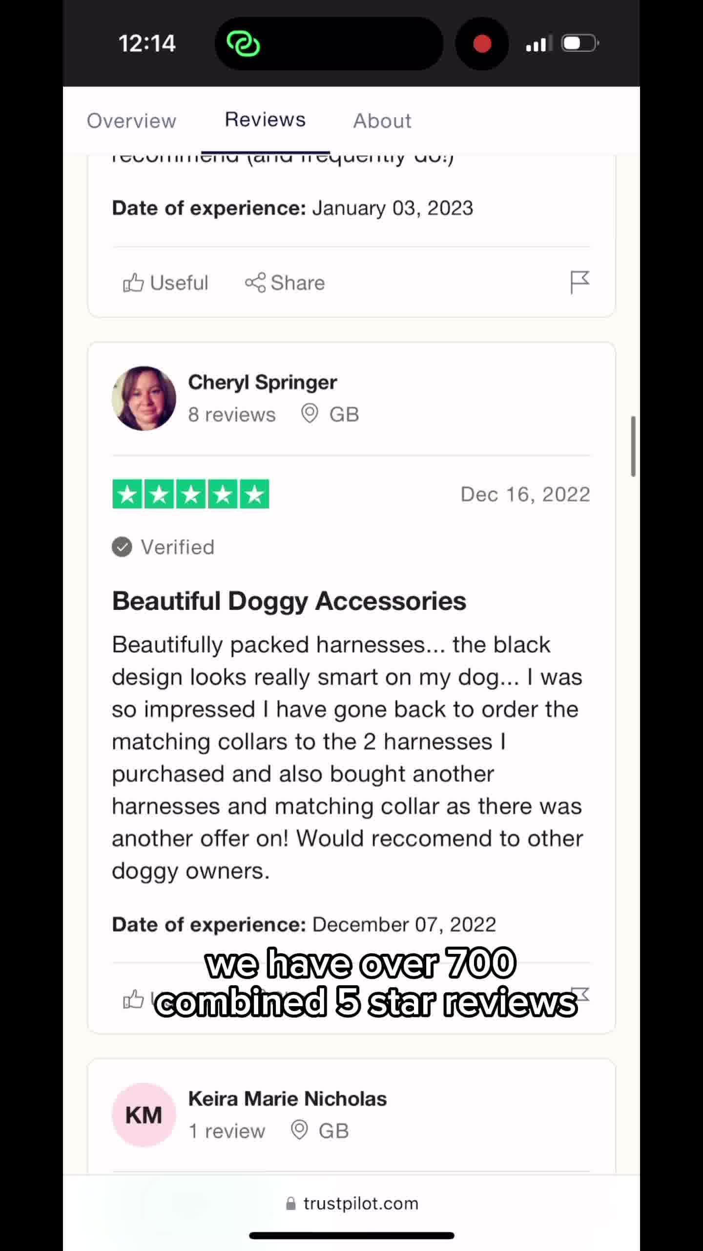 Luxury Dog Accessories at Affordable Prices