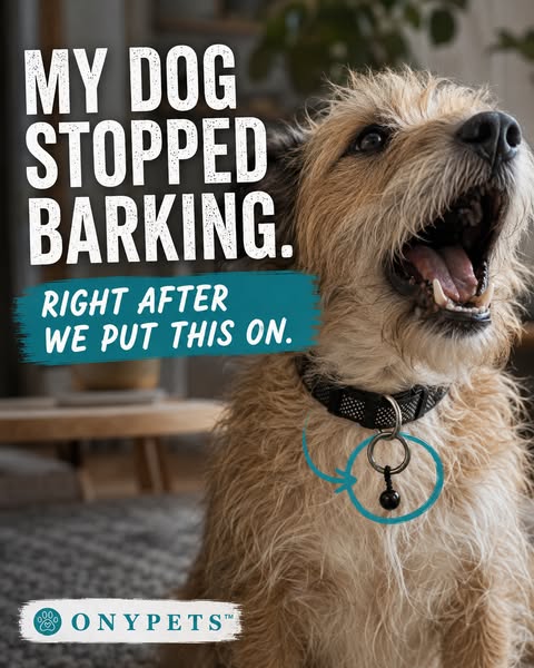 She still barks when it matters. The rest is gone