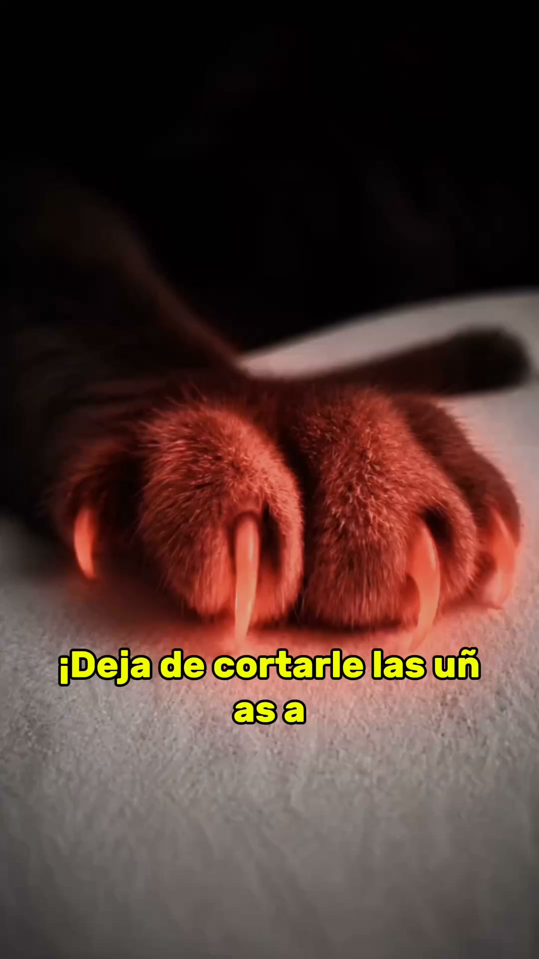 El territorio natural que lima las uñas de tu gato