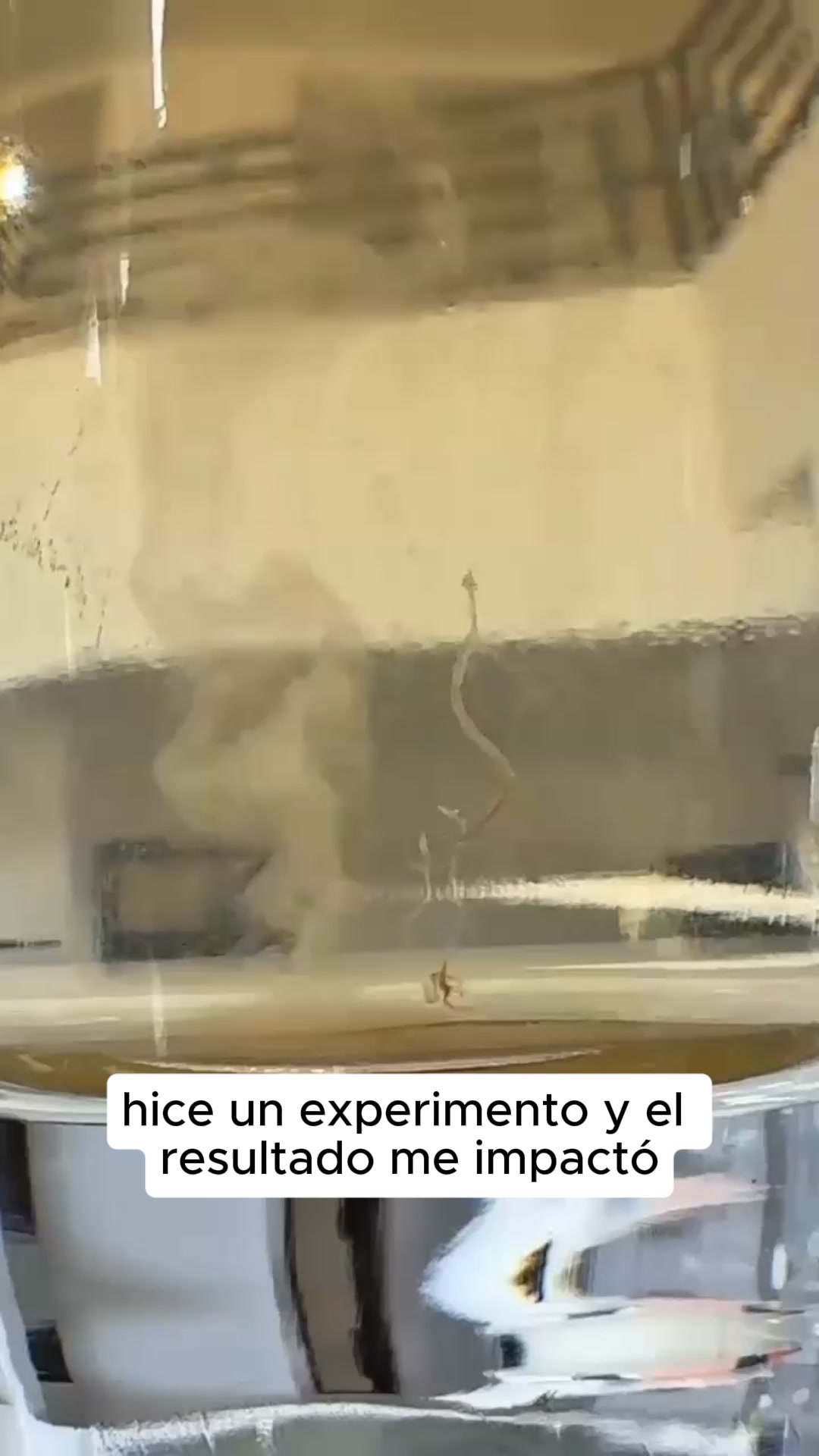 Si tienes perro, tu lavadora esconde algo.