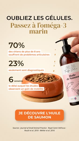 Bon pour les dents de votre chien