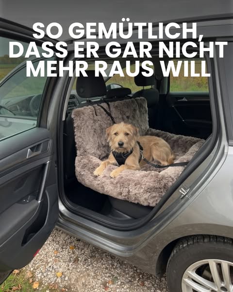 Ruhig, kuschelig & sicher angeschnallt