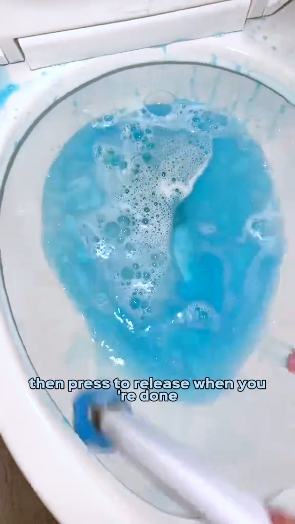 Ditch the Dirty Toilet Brush