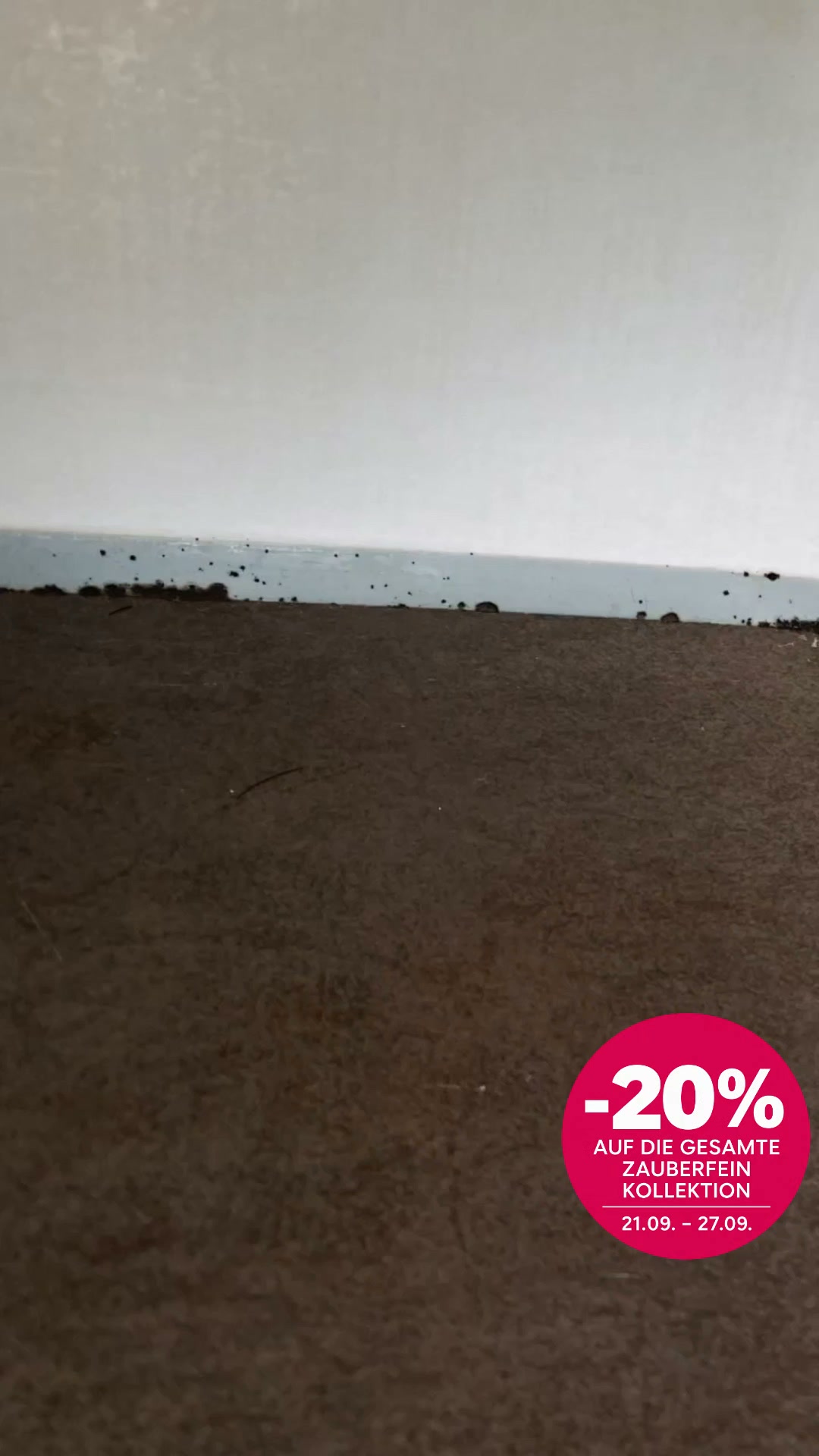 Die Zauberfein Kollektion – jetzt -20 %