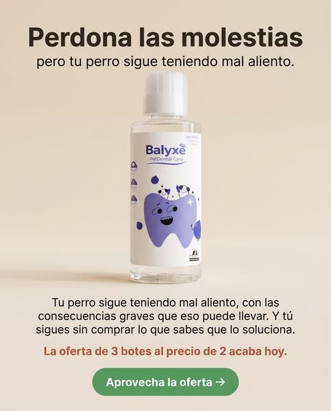 Tu pedido sigue esperando