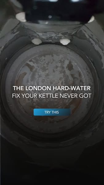 I Stopped Descaling My Kettle in 1 Simple Step