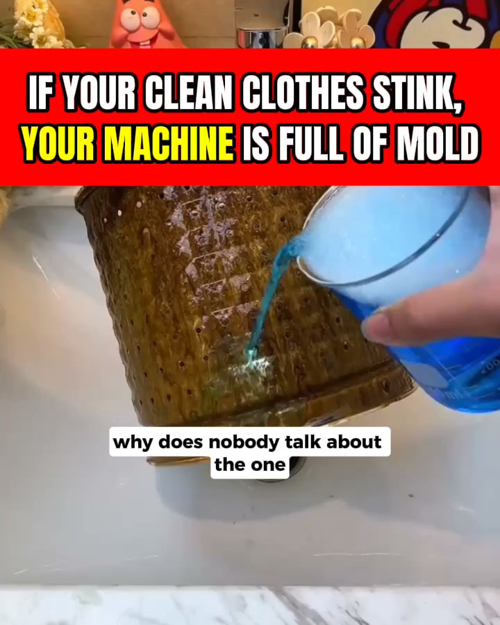 If your washing smells like a wet dog straight out of the machine... this germ is why