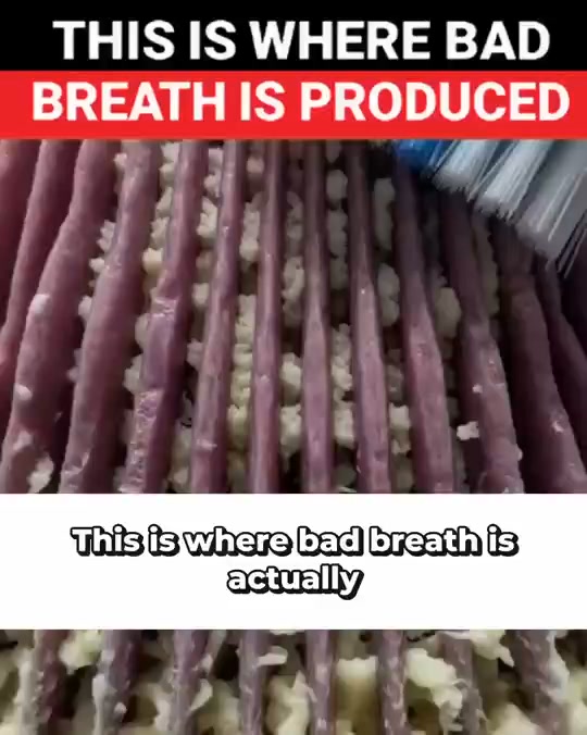 A Fresh-Breath Spray Without the Burn — From £16.99