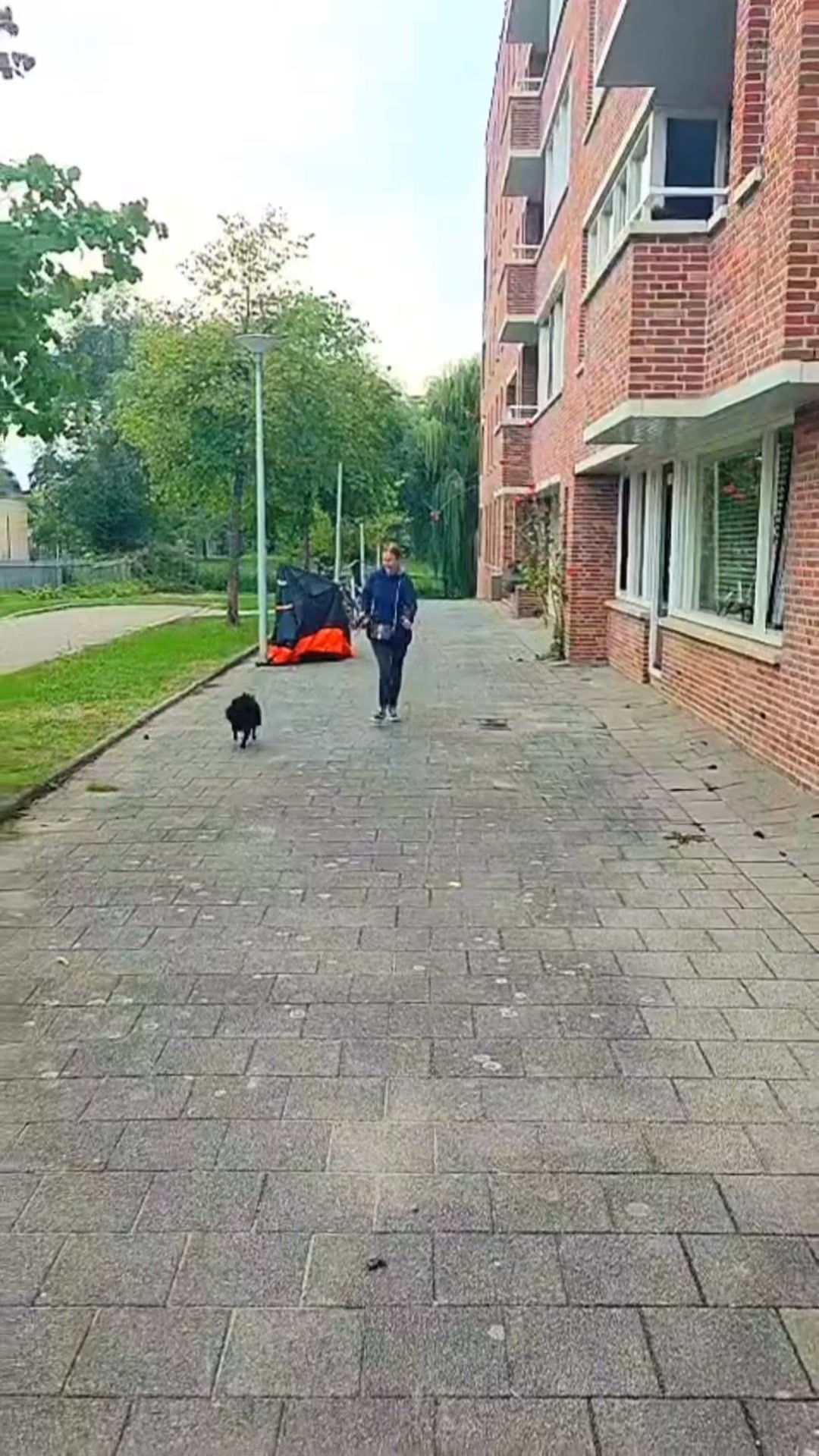 Bekijk het assortiment