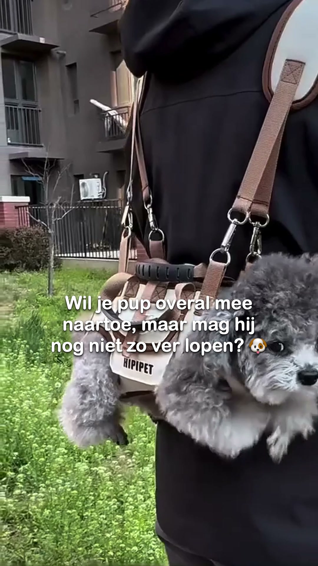 Samen op pad, ook als de pootjes moe zijn