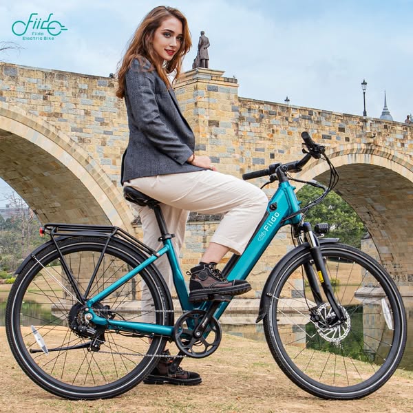Fiido C11 Elektrofahrrad