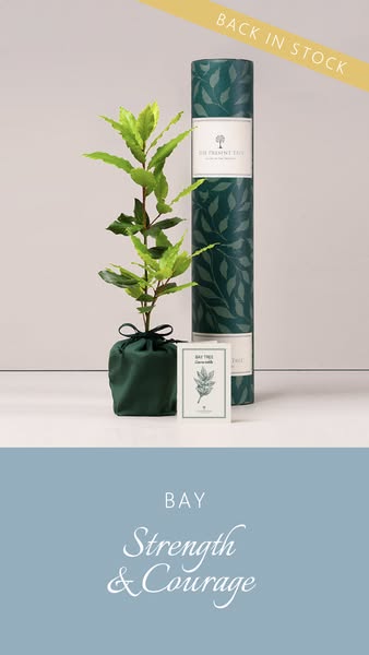 Beautifully Wrapped Tree Gifts