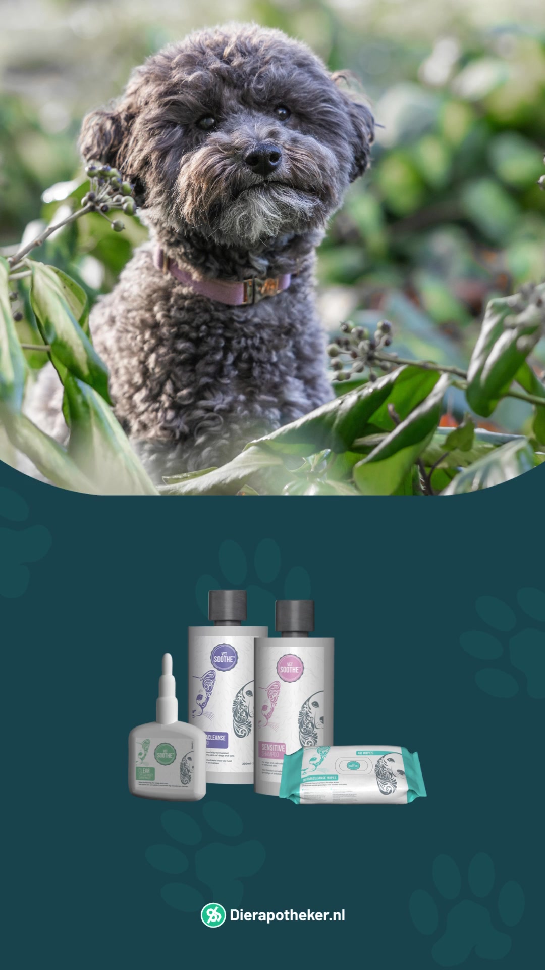 Shop nu bij de online Dierapotheker