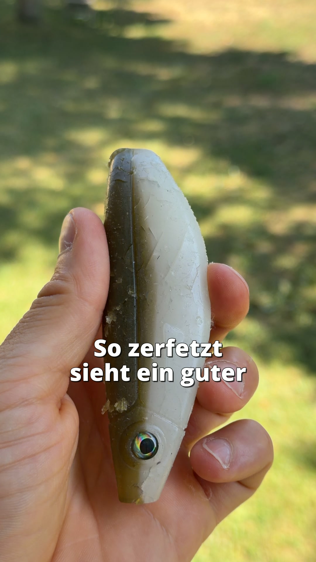 100 Tage Geld-Zurück-Garantie