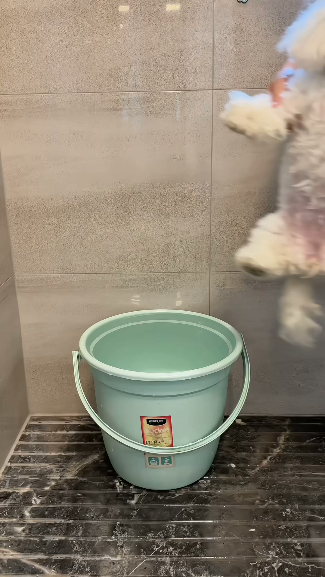 Wassen, borstelen & masseren in één simpele beweging!