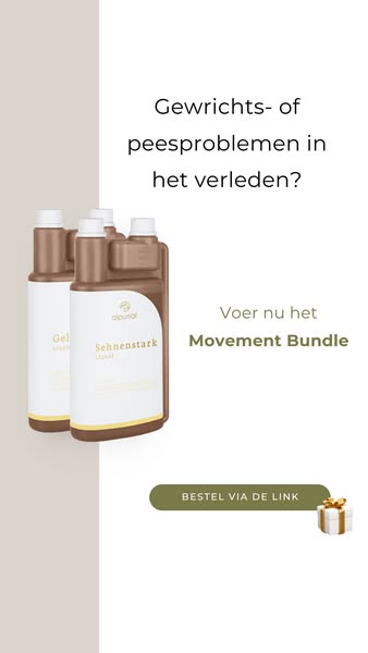 Van binnenuit de basis leggen voor bewegingsplezier