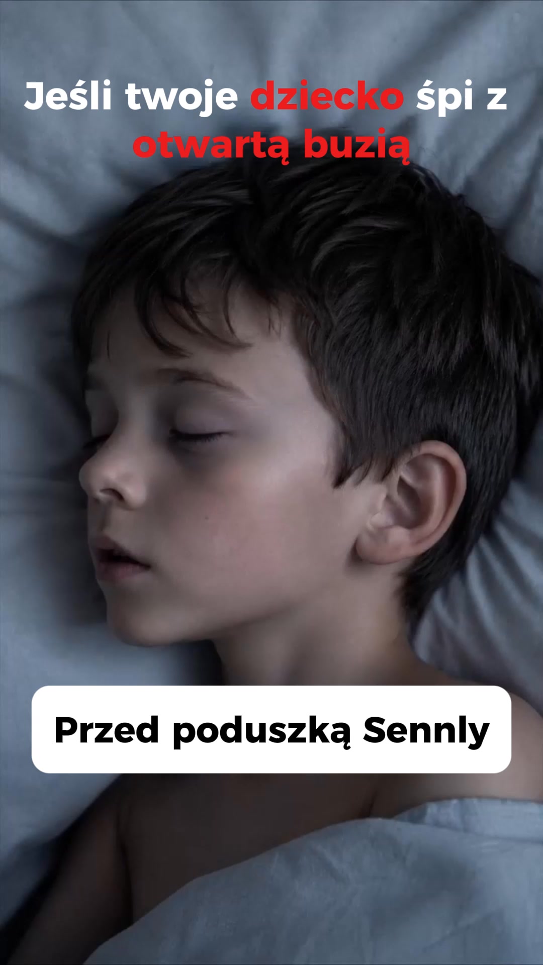 4.8/5 na podstawie 9406 opinii
