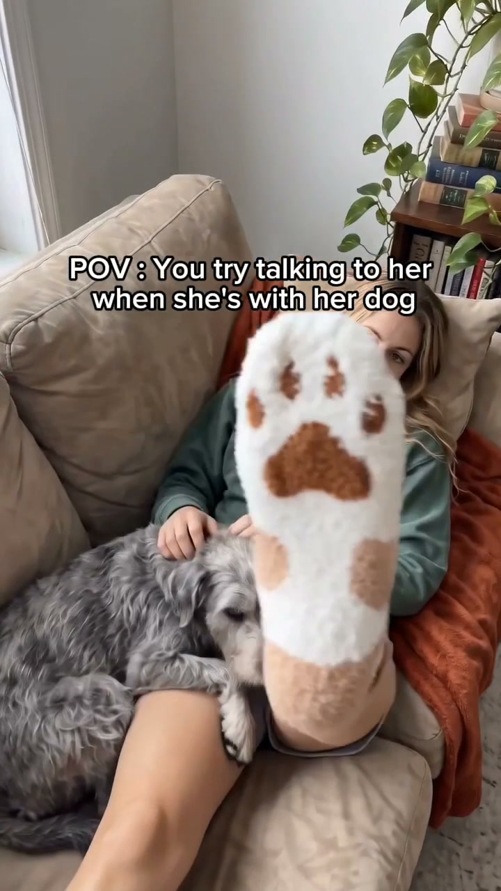 Can't adopt? You can still help.