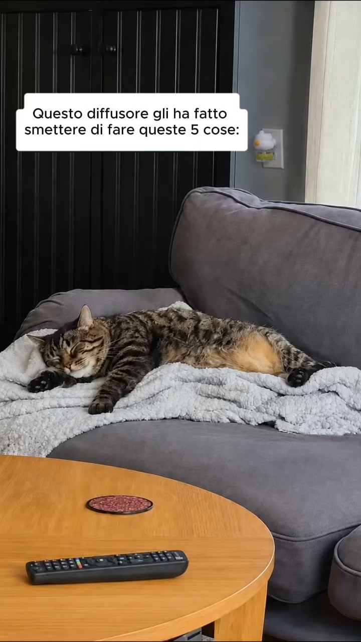 Aiuta il tuo gatto a vivere senza stress con Argopet.