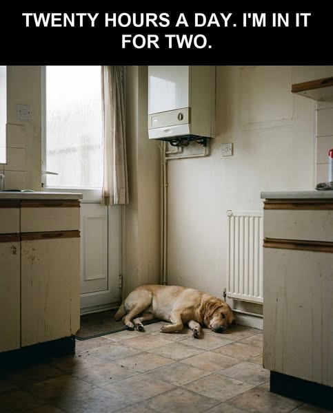 Twenty Hours A Day. I'm In It For Two.