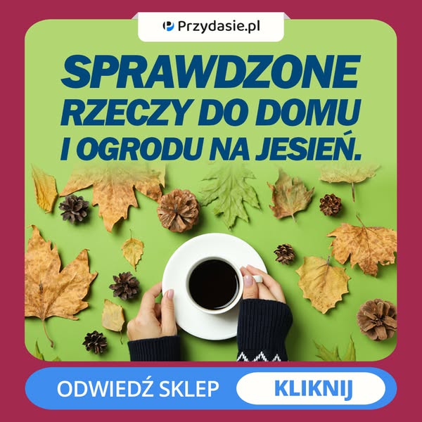 Jesienne przydasie już czekają