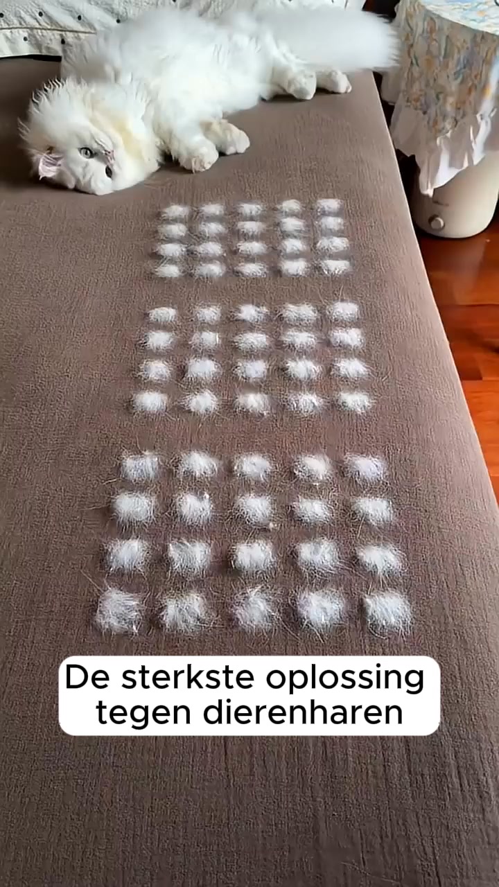 Haren weg in 10 seconden! zonder lijm of navullingen