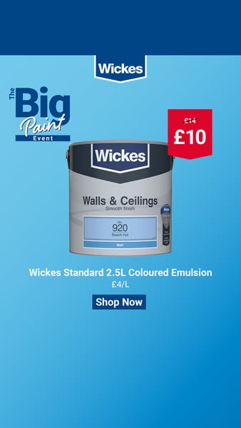 Shop The Big Paint Event