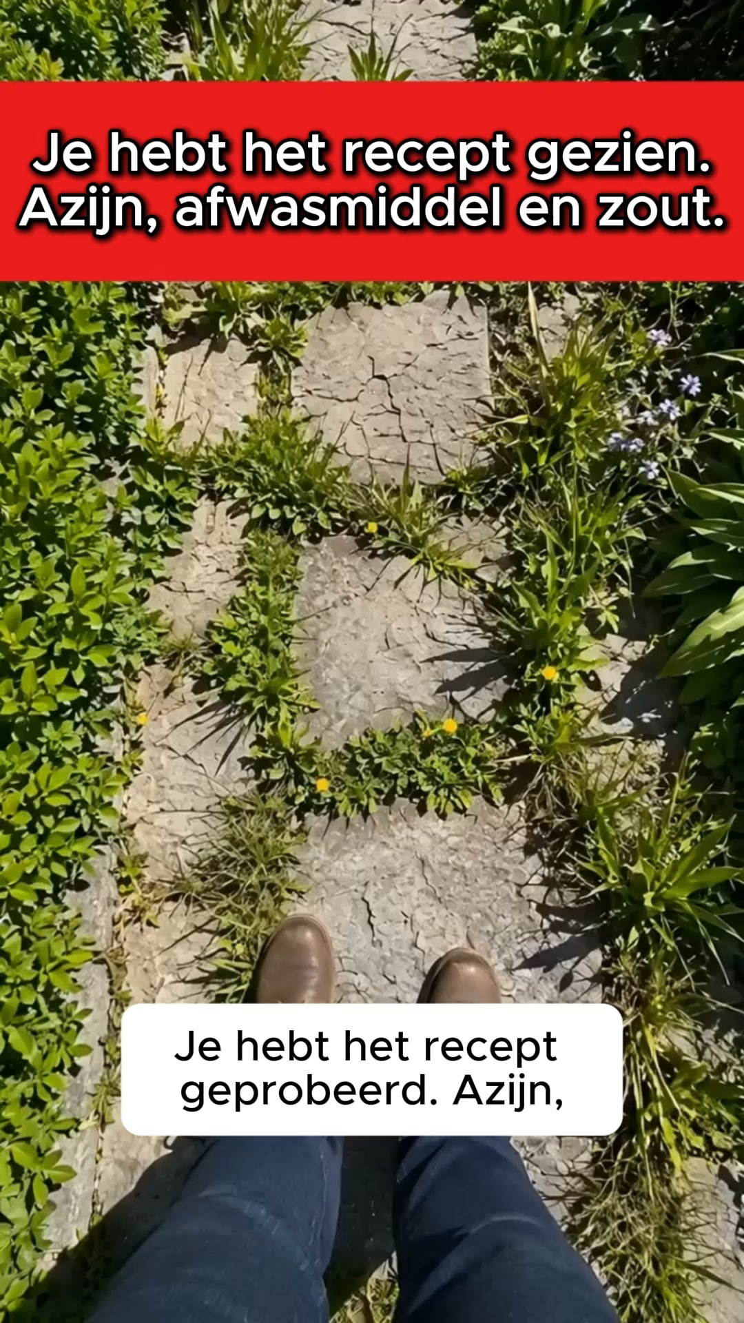 Eindelijk weer een nette tuin