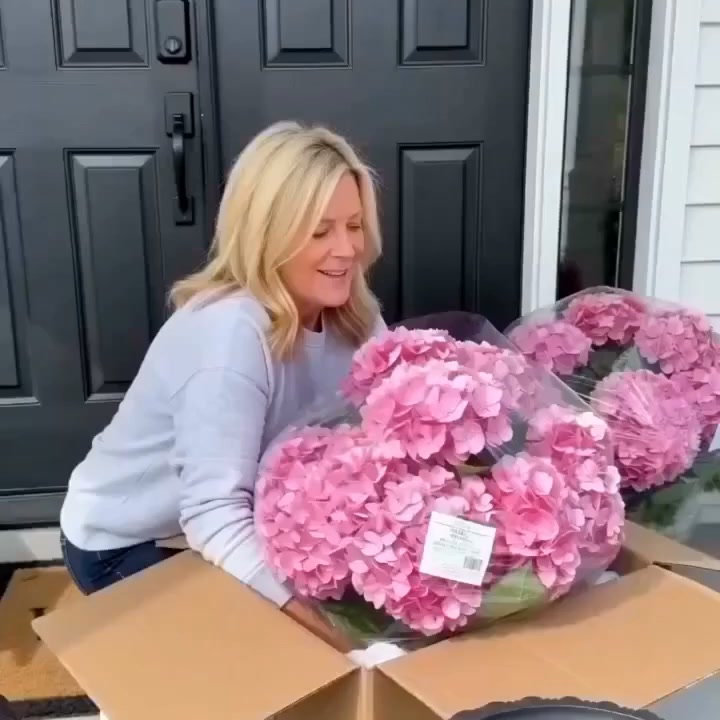FloraGuard – Fleurs Artificielles d'Extérieur Anti-UV