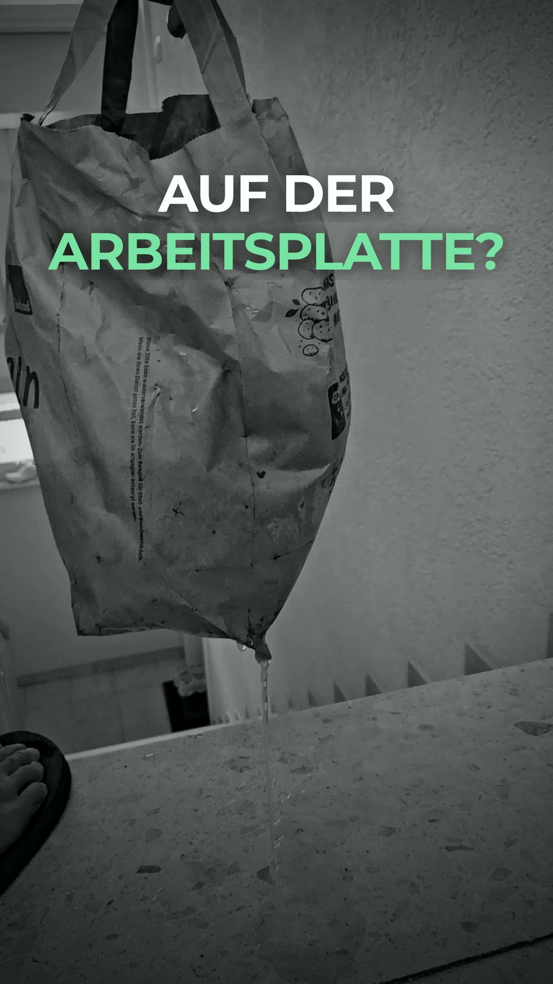 Verwandle Biomüll schon ab 2 Stunden in frische Komposterde mit dem elektrischen Söko Komposter