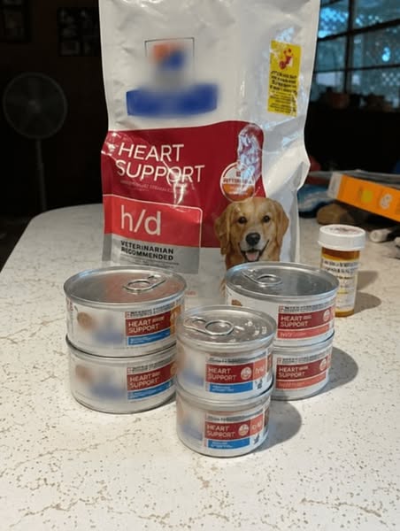 Veterinarian speaks the truth…