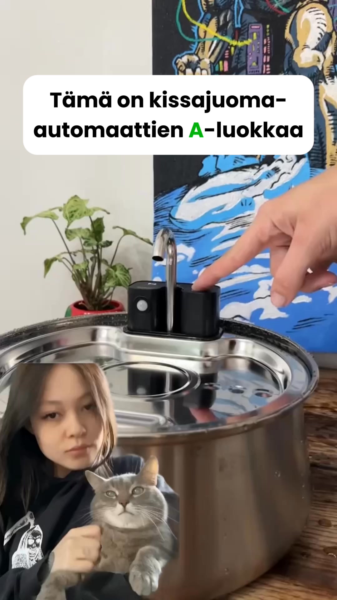 Saat 50% alennuksen + ilmaisen lahjan! Vain rajoitetun ajan!