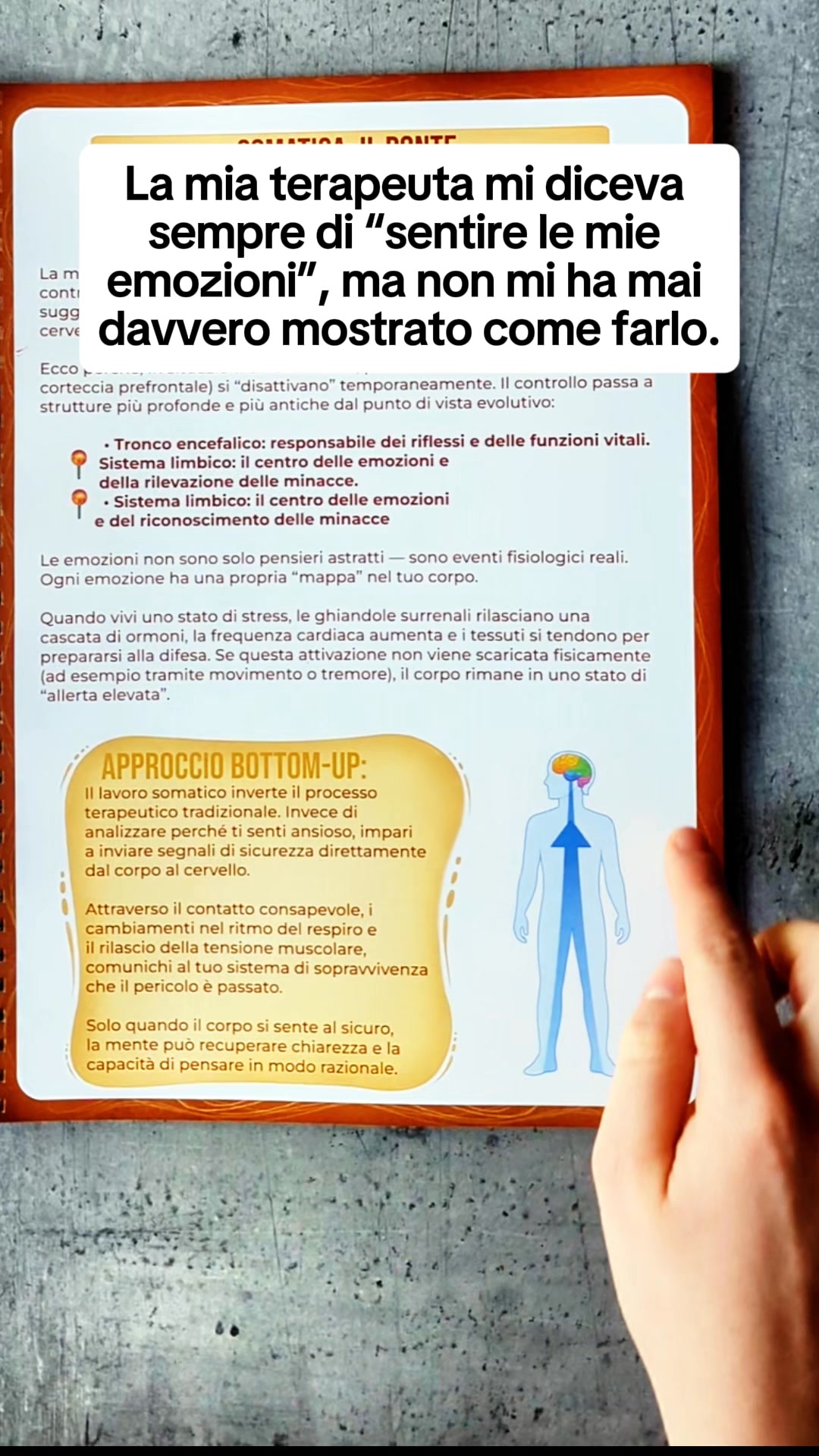 Workbook di Terapia Somatica