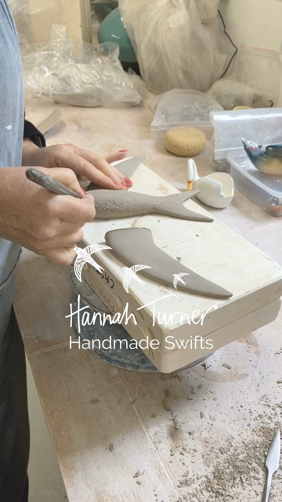 Limited Edition Swifts