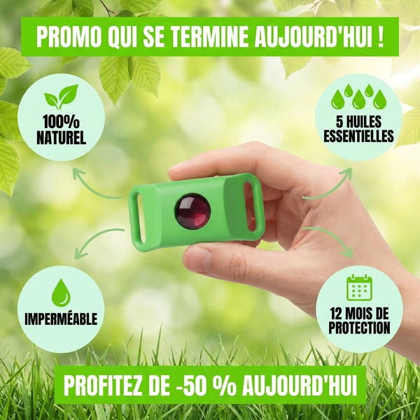 Un pendentif. 12 mois. Zéro tique.