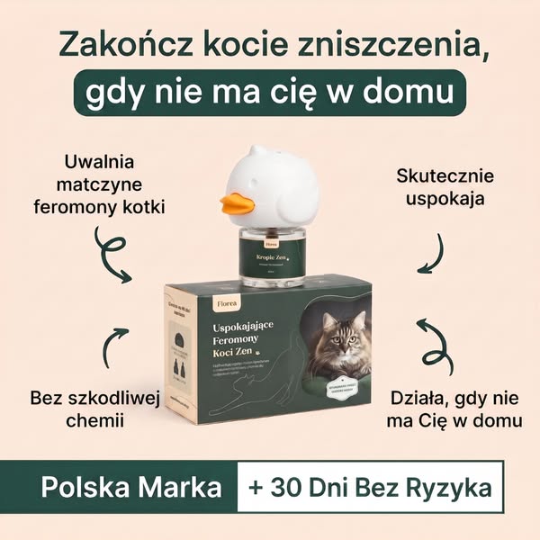 Koniec demolki pod Twoją nieobecność