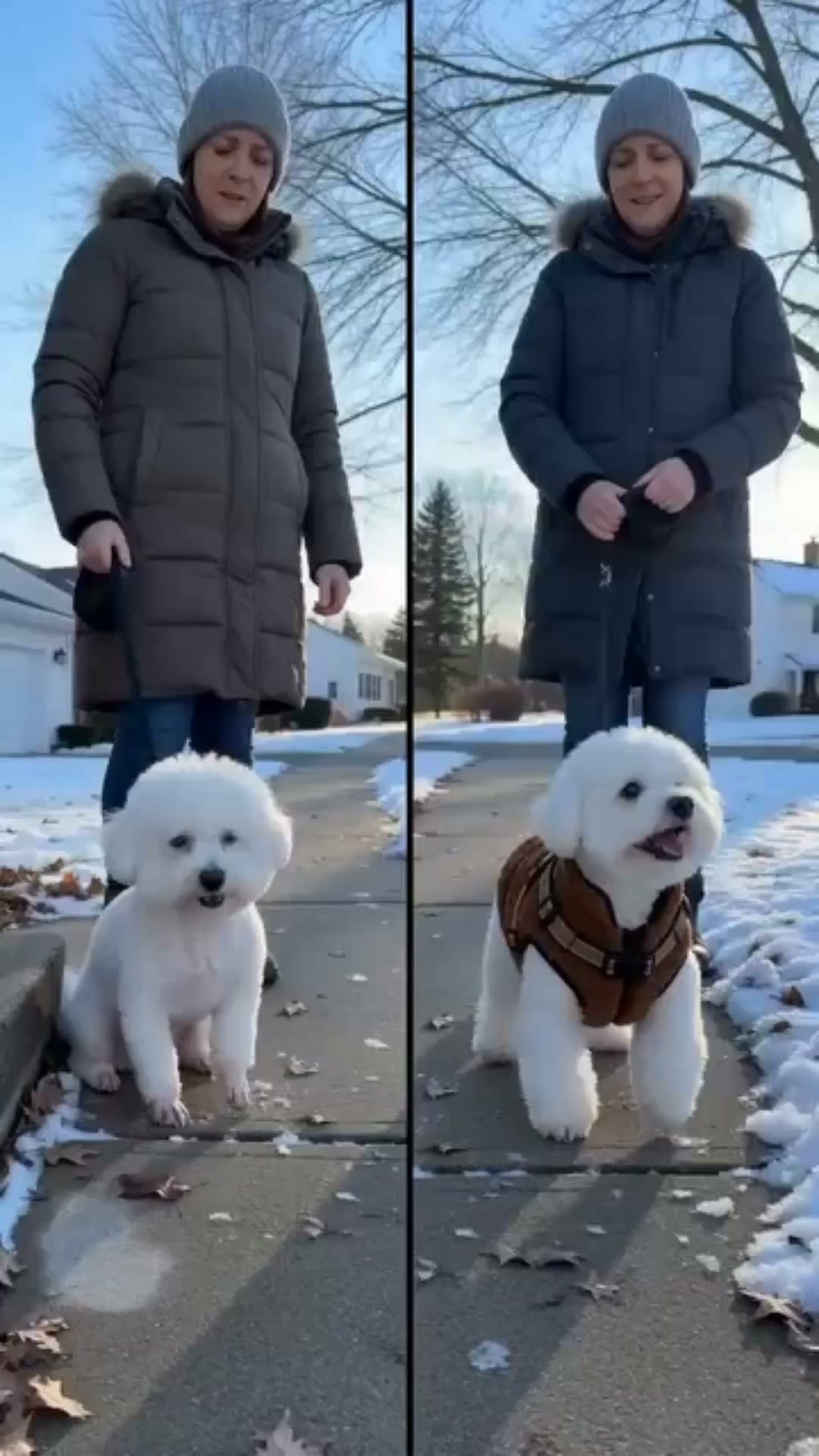 VaraLiving™ Lämmin Koiran Talvitakki (Heijastava - Pienille & Keskisuurille Koirille)
