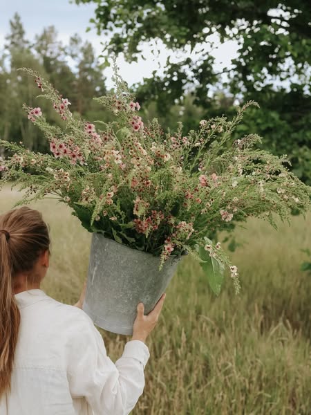 Perennial Seeds - buy seeds online
