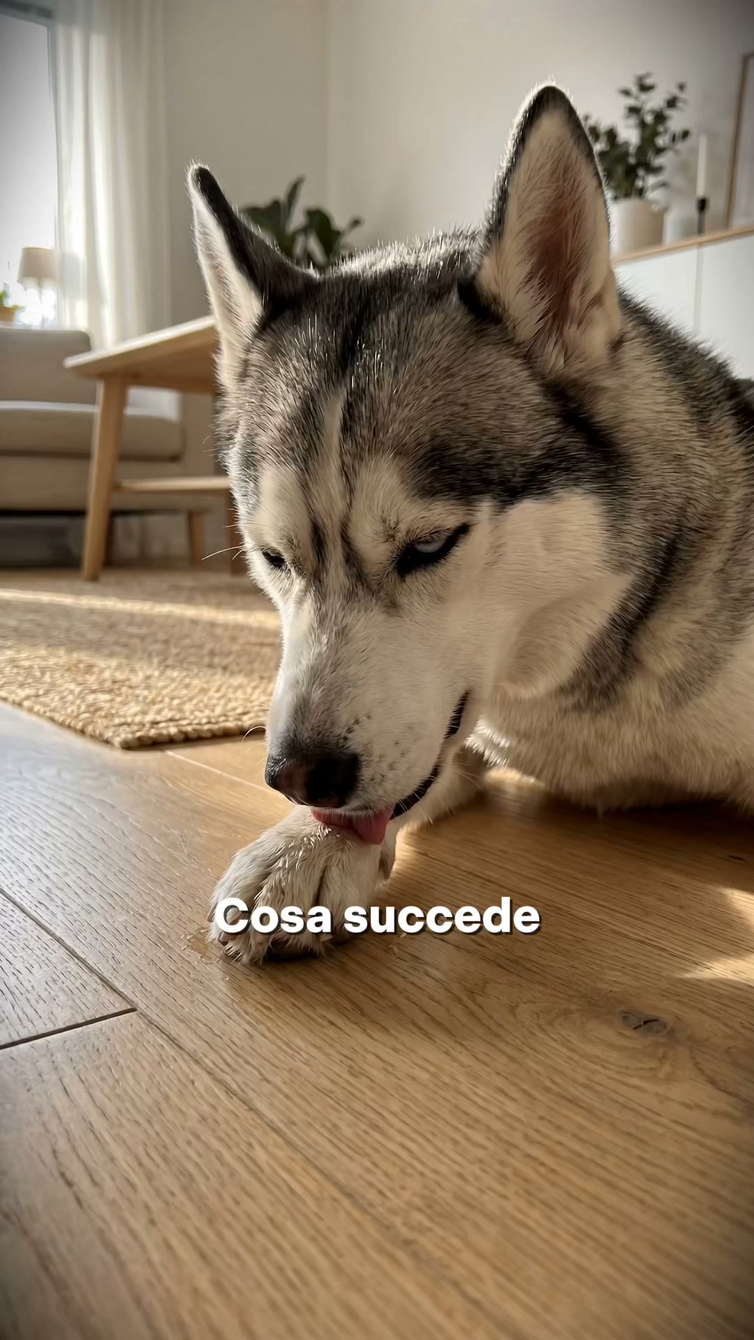 Da dove provengono davvero i funghi (e come eliminarli in 4 settimane)