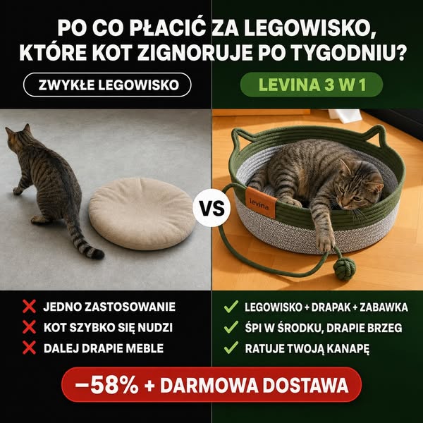 Ponad 20 000 Sprzedanych