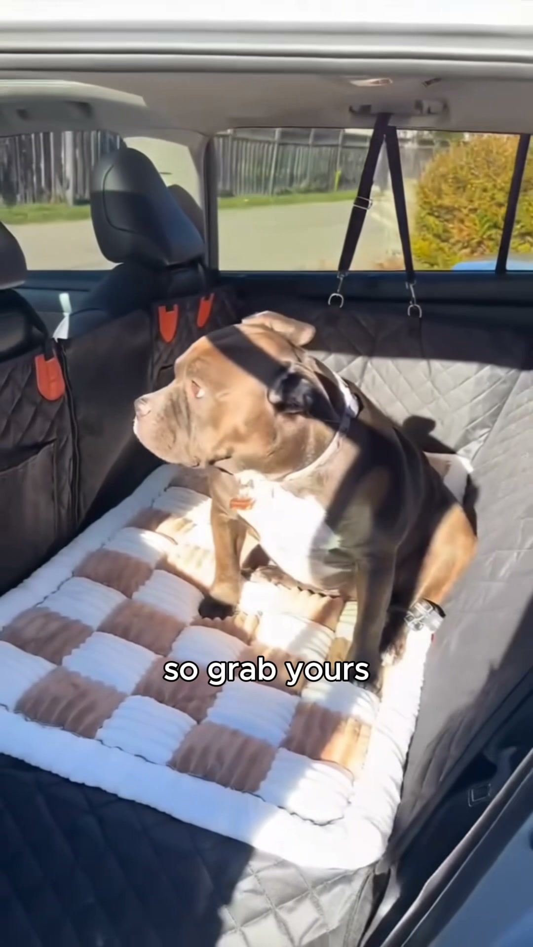 Pawlow Hard Bottom Seat Cover