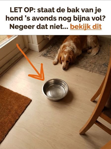 Nu 40% korting + gratis extra filter