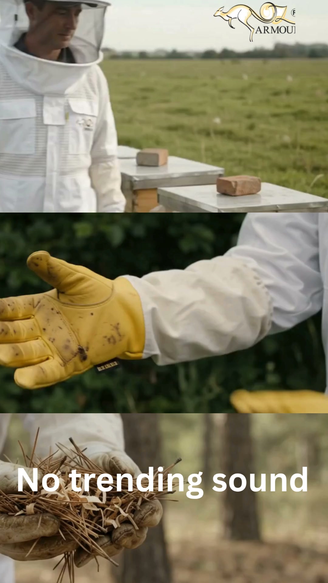Everything You Need for Beekeeping