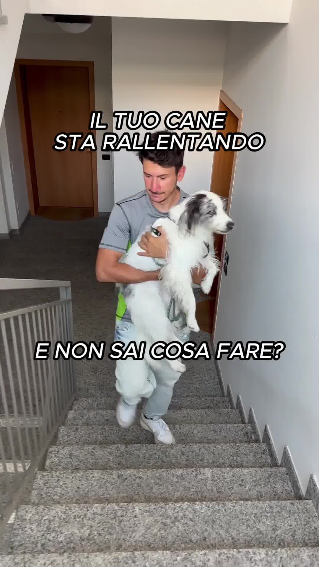 Integratore Mobilità & Articolazioni